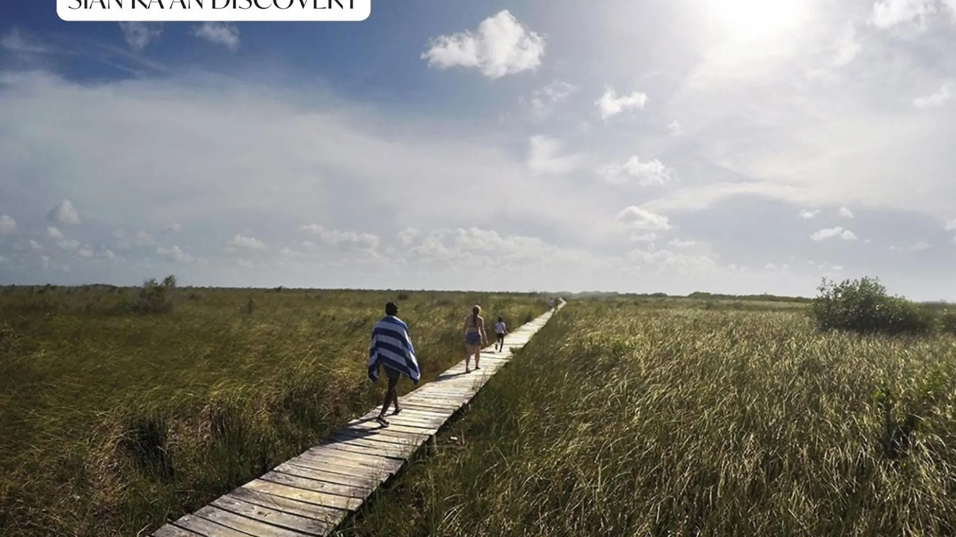 Luxury Penthouse With Private Rooftop & Hot Tub Tulum 0*,  Mexico